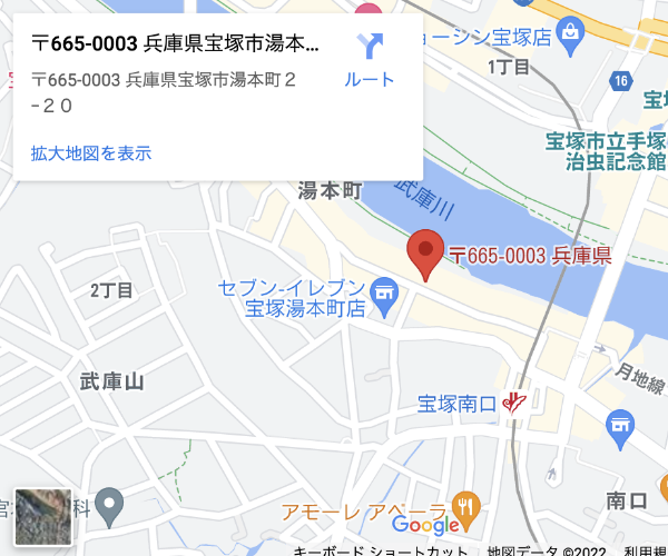 google map